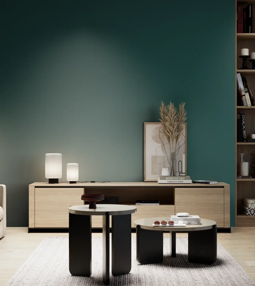 P10_SNIEZKA_salon_05_zimne_GREY_S6530-B50G
