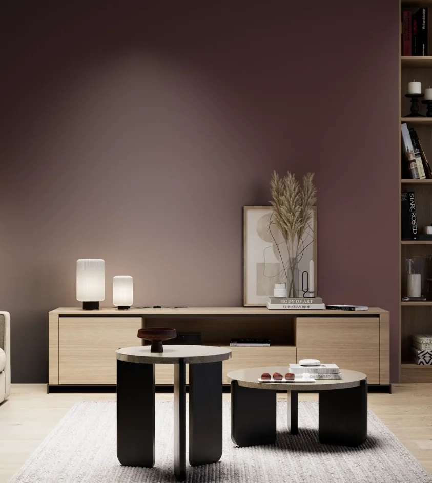 P10_SNIEZKA_salon_05_zimne_GREY_S7020-R10B