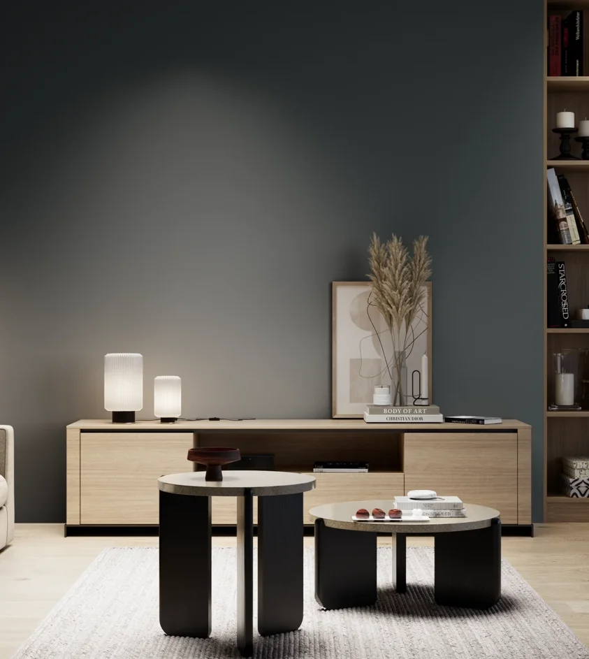 P10_SNIEZKA_salon_05_zimne_GREY_S8010-B10G
