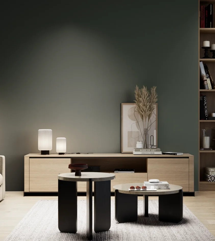 P10_SNIEZKA_salon_05_zimne_GREY_S8010-G10Y