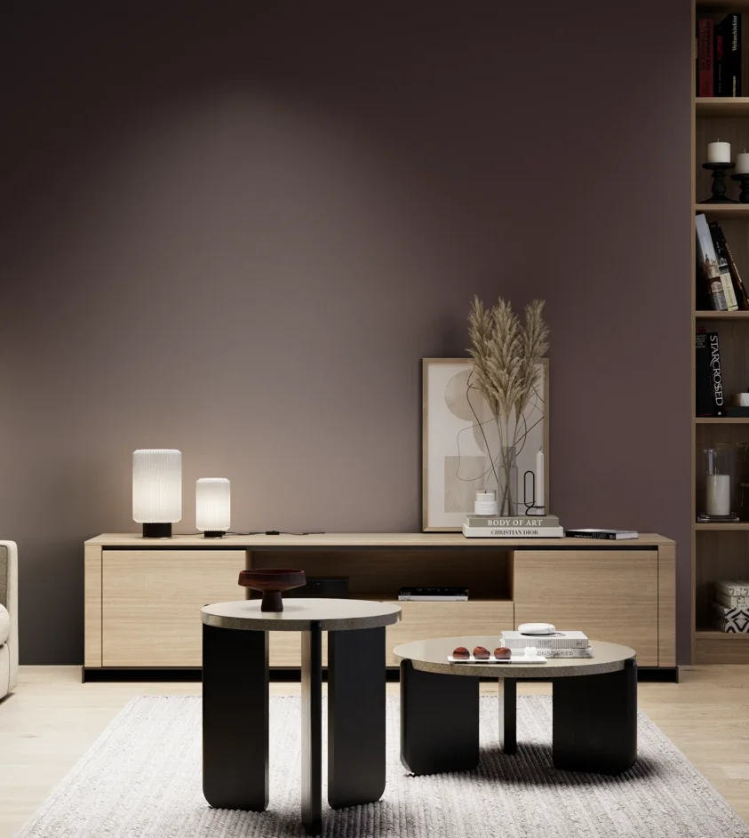 P10_SNIEZKA_salon_05_zimne_GREY_S8010-R10B