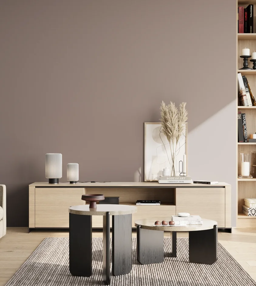 P10_SNIEZKA_salon_02_poludnie_GREY_S4005-R
