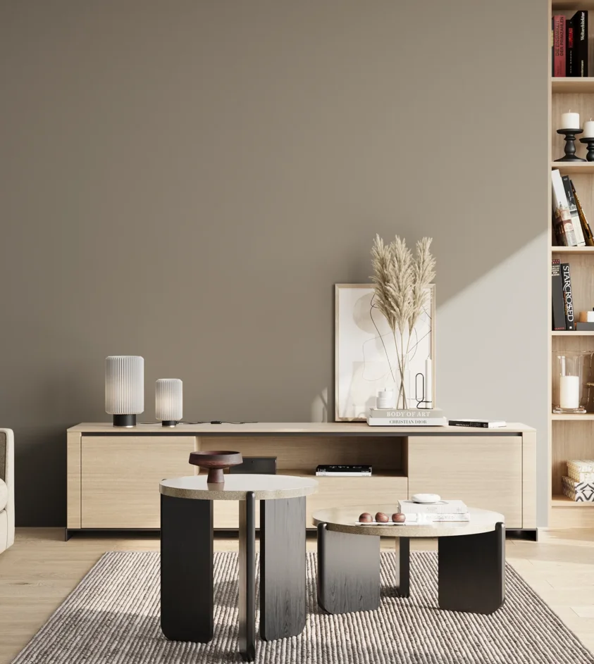 P10_SNIEZKA_salon_02_poludnie_GREY_S4502-Y20R