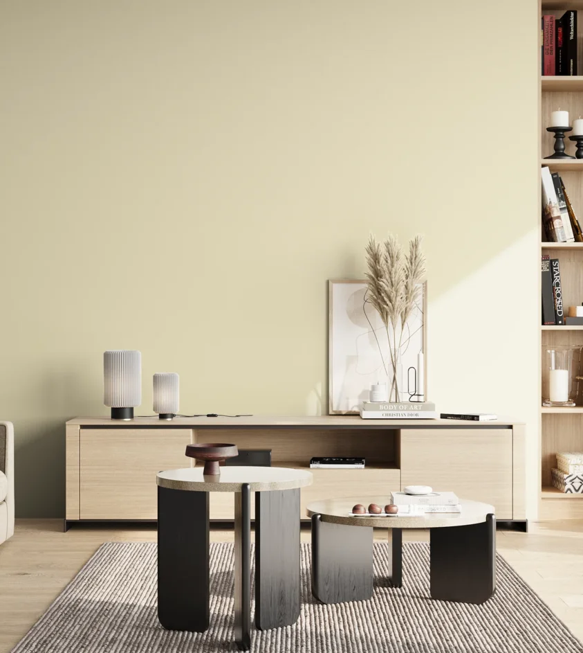 P10_SNIEZKA_salon_02_poludnie_GREY_S0507-Y