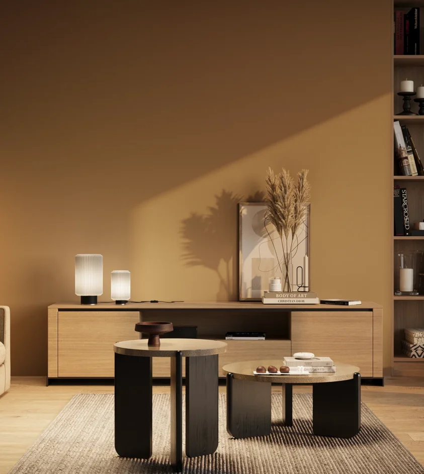 P10_SNIEZKA_salon_03_wieczor_GREY_RAL1011
