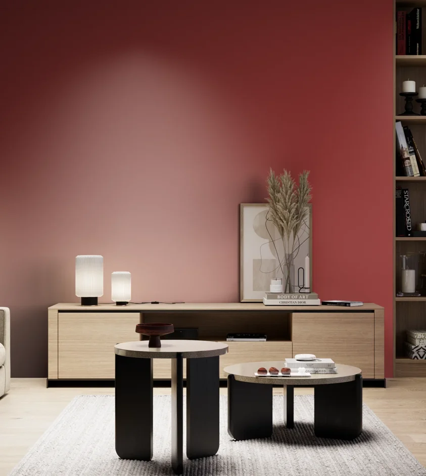 P10_SNIEZKA_salon_05_zimne_GREY_RAL3001