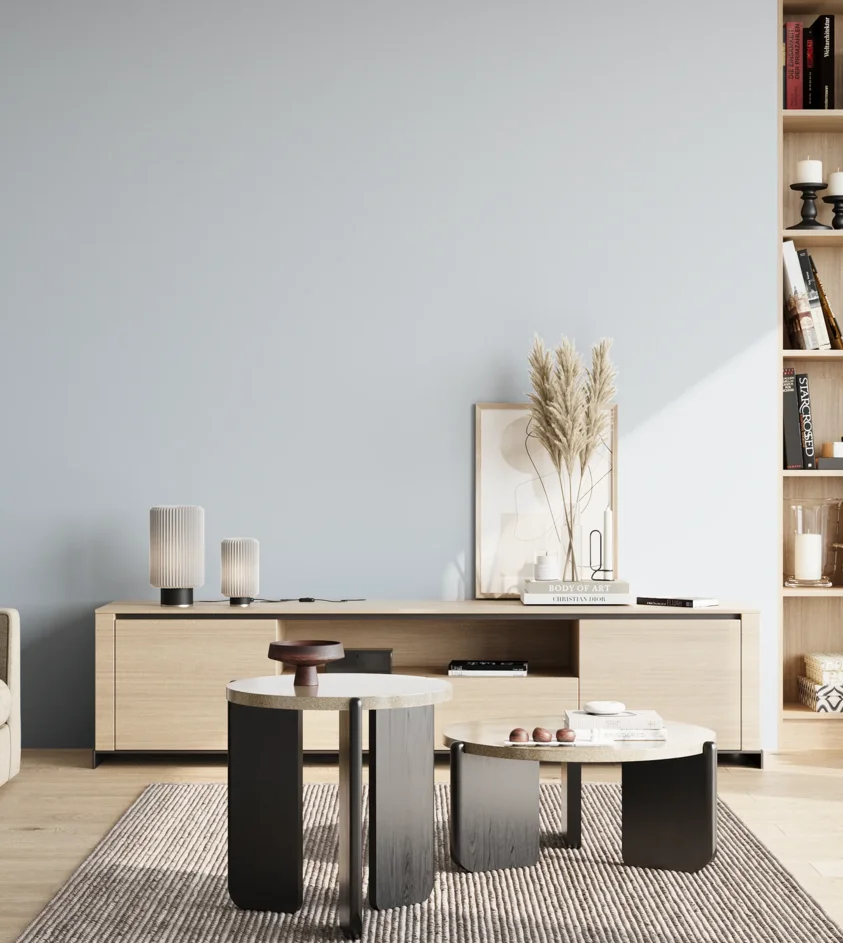 P10_SNIEZKA_salon_02_poludnie_GREY_S0510-R80B