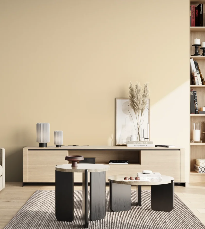 P10_SNIEZKA_salon_02_poludnie_GREY_S0510-Y30R