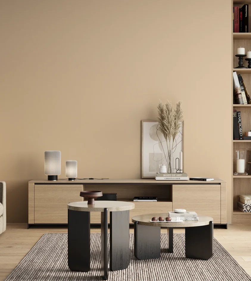 P10_SNIEZKA_salon_00_neutral_GREY_S0510-Y40R