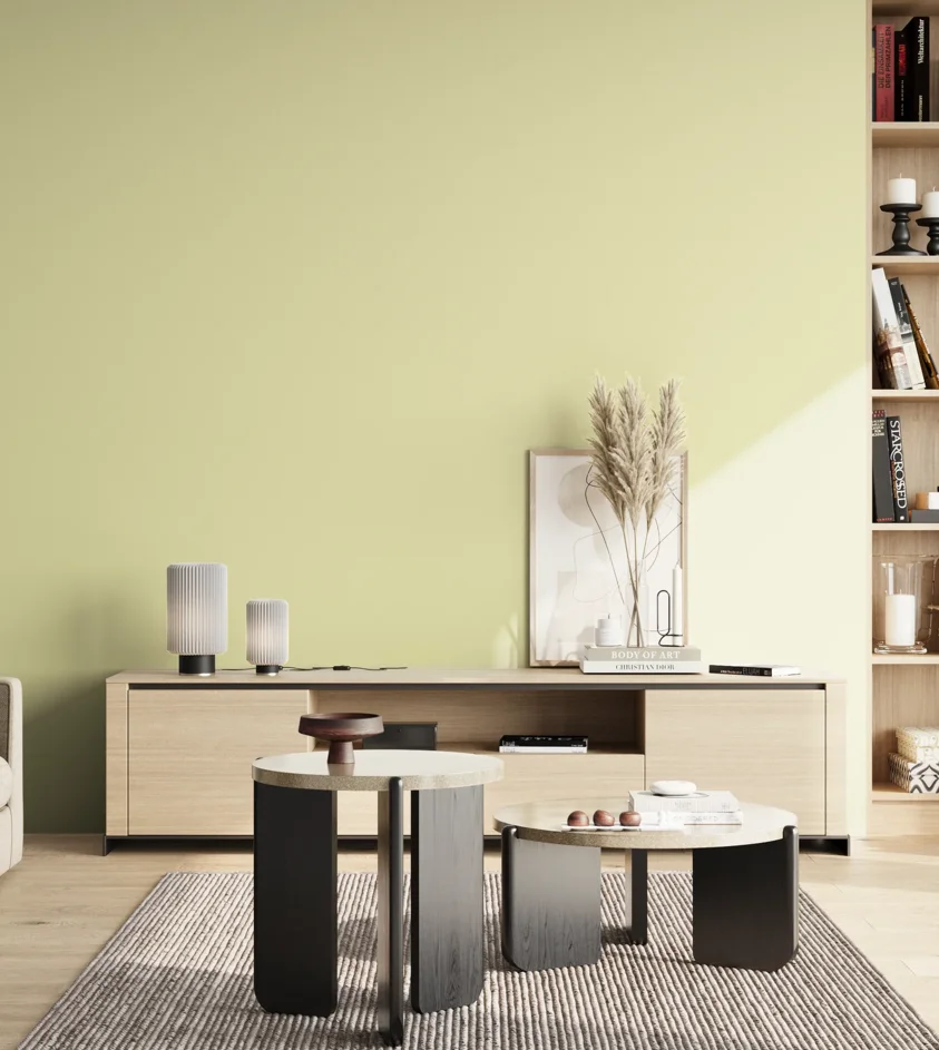 P10_SNIEZKA_salon_02_poludnie_GREY_S0515-G80Y