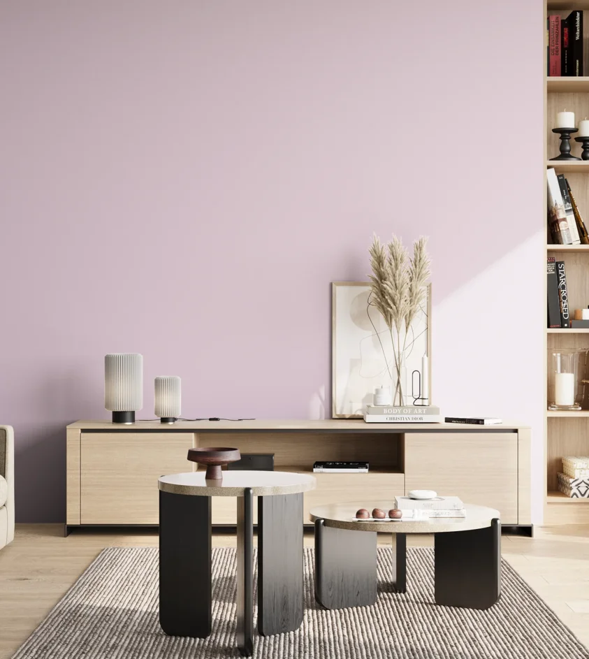 P10_SNIEZKA_salon_02_poludnie_GREY_S0515-R40B