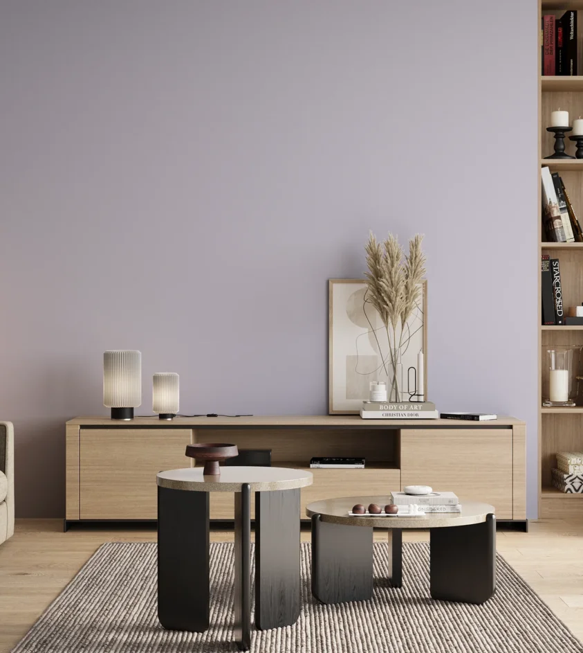 P10_SNIEZKA_salon_00_neutral_GREY_S0515-R60B