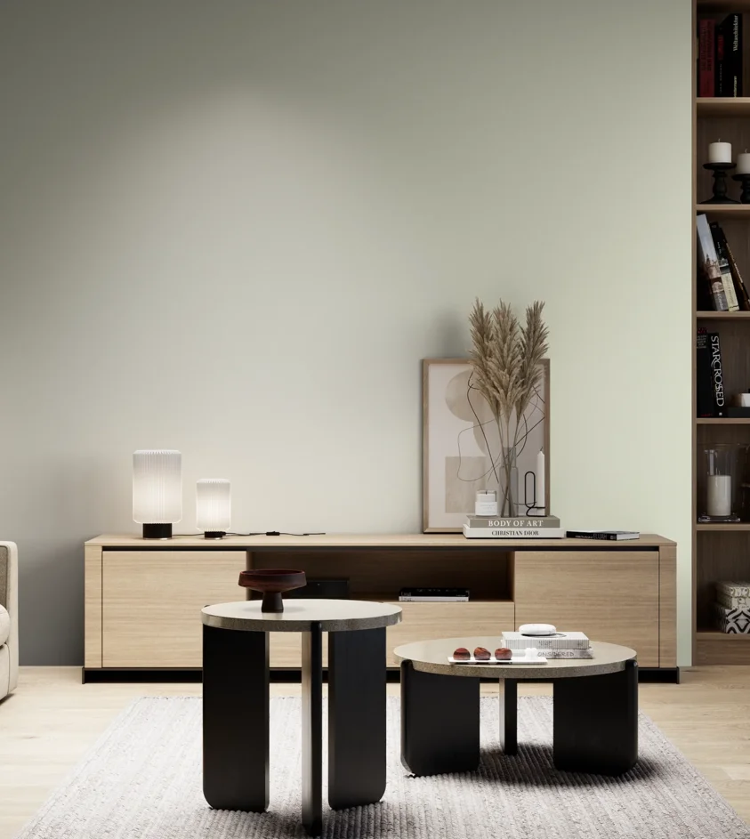 P10_SNIEZKA_salon_05_zimne_GREY_S0505-G50Y