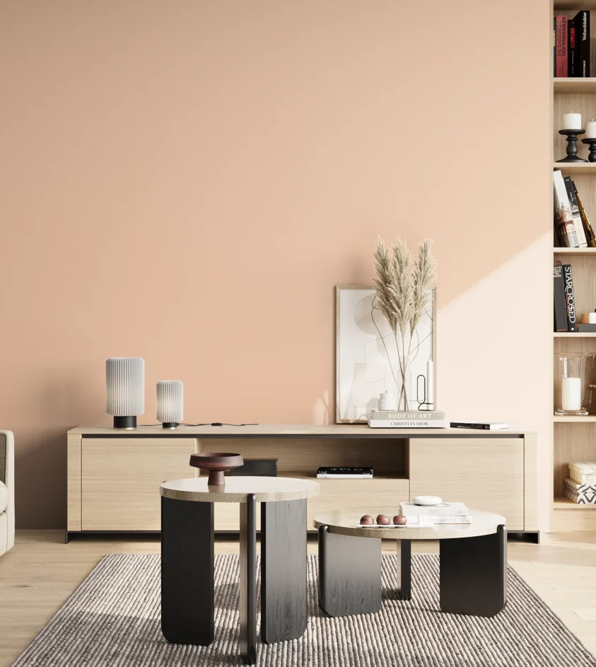 P10_SNIEZKA_salon_02_poludnie_GREY_S0515-Y60R