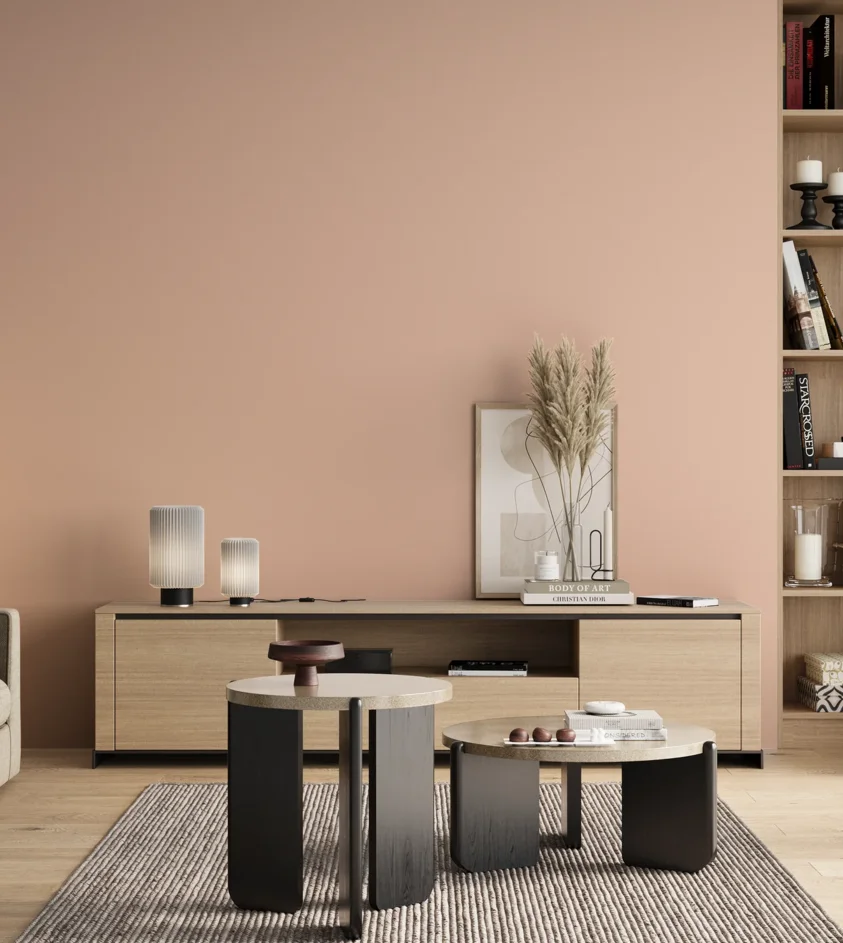 P10_SNIEZKA_salon_00_neutral_GREY_S0515-Y70R