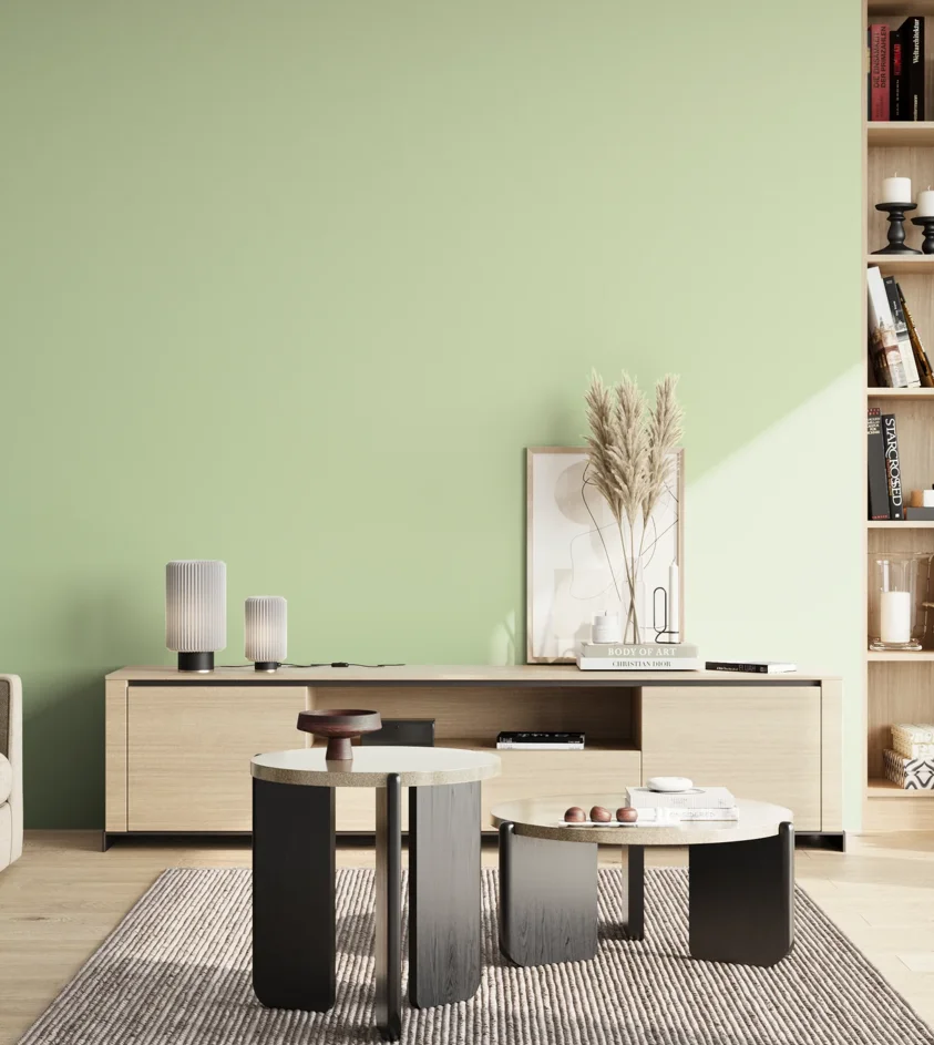 P10_SNIEZKA_salon_02_poludnie_GREY_S0520-G30Y