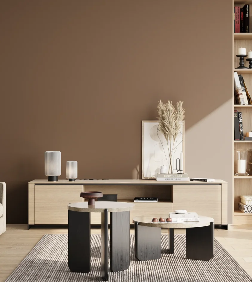 P10_SNIEZKA_salon_02_poludnie_GREY_C12