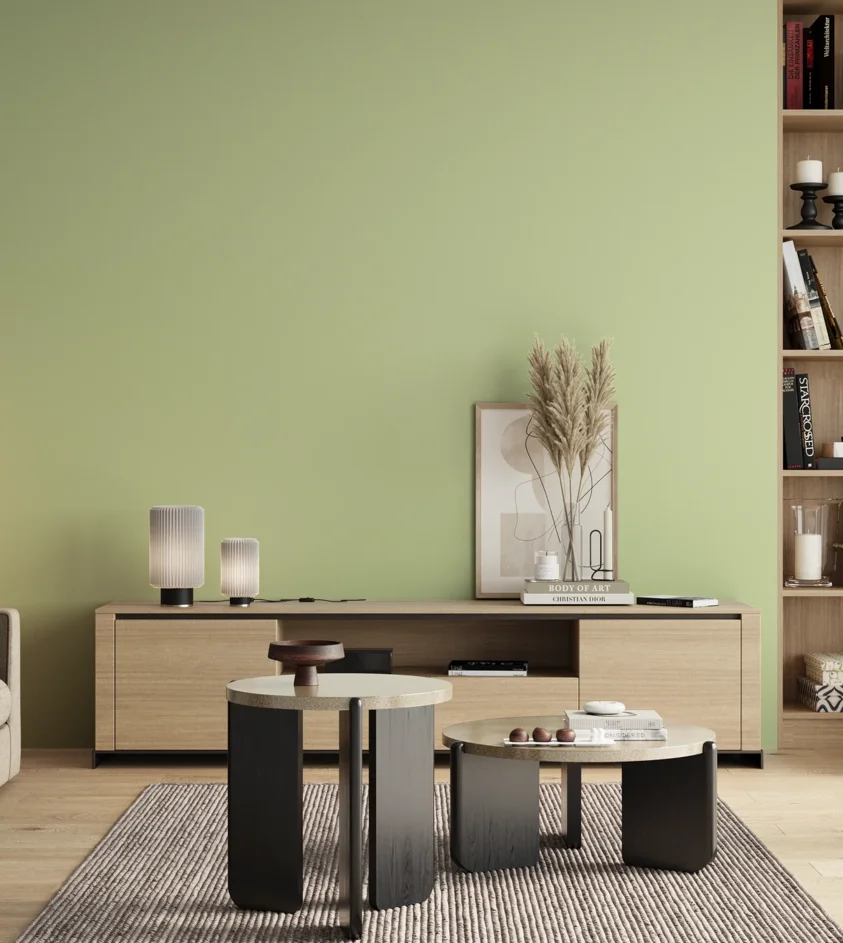 P10_SNIEZKA_salon_00_neutral_GREY_S0520-G40Y