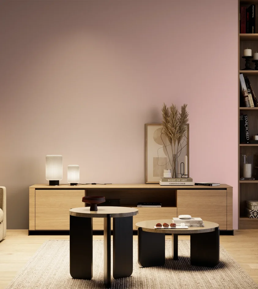P10_SNIEZKA_salon_04_cieple_GREY_S0520-R10B