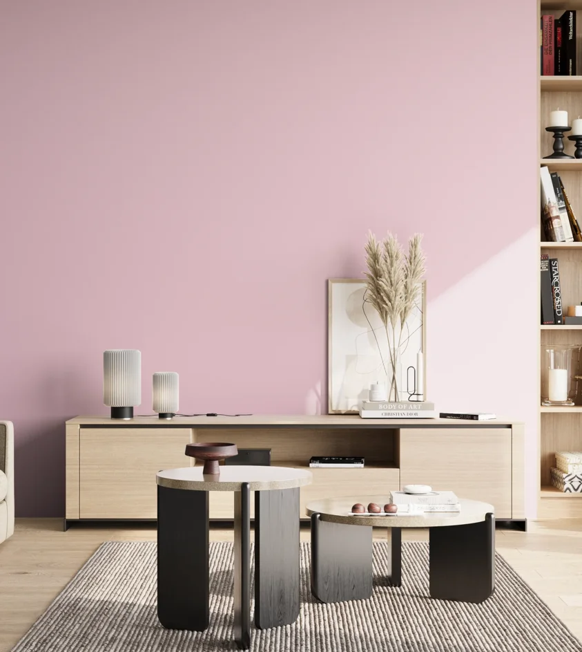 P10_SNIEZKA_salon_02_poludnie_GREY_S0520-R30B