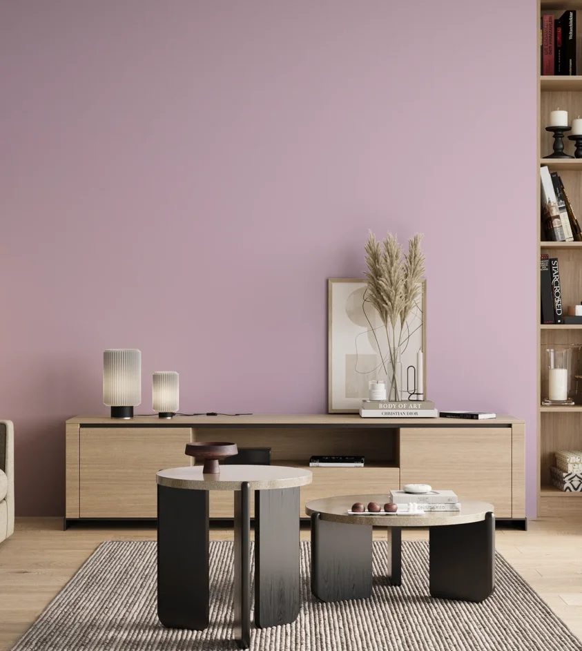 P10_SNIEZKA_salon_00_neutral_GREY_S0520-R40B