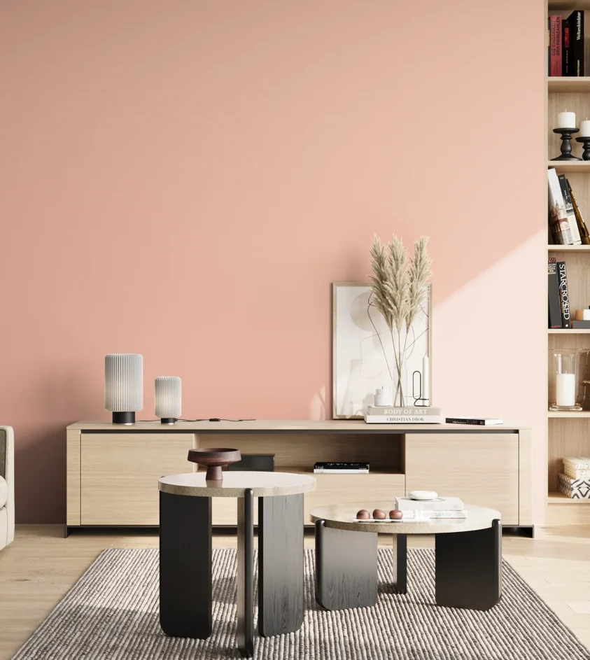 P10_SNIEZKA_salon_02_poludnie_GREY_S0520-Y80R