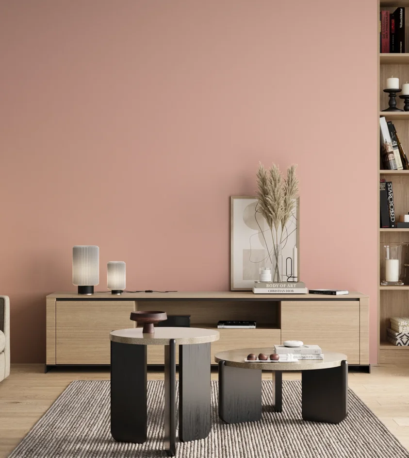P10_SNIEZKA_salon_00_neutral_GREY_S0520-Y90R