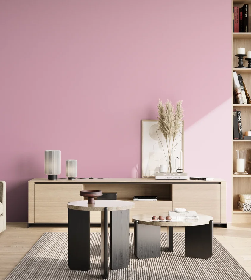 P10_SNIEZKA_salon_02_poludnie_GREY_S0530-R30B