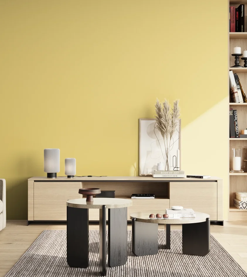 P10_SNIEZKA_salon_02_poludnie_GREY_S0530-Y