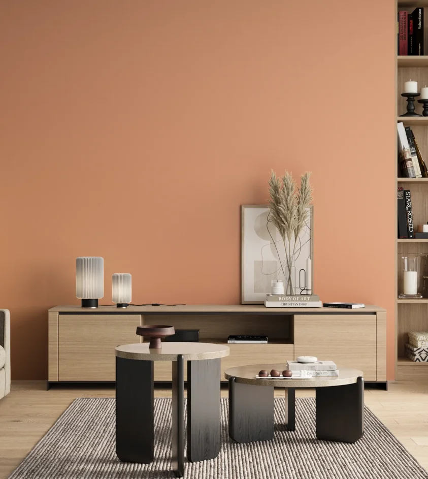 P10_SNIEZKA_salon_00_neutral_GREY_S0530-Y60R