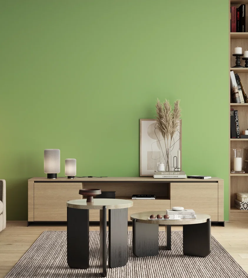 P10_SNIEZKA_salon_00_neutral_GREY_S0540-G30Y