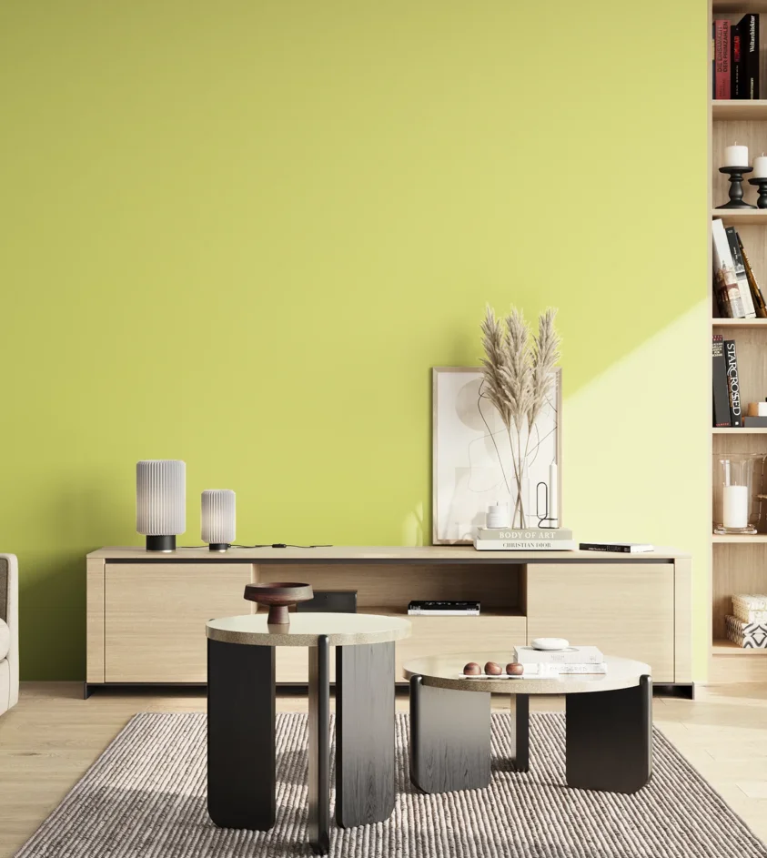 P10_SNIEZKA_salon_02_poludnie_GREY_S0540-G70Y