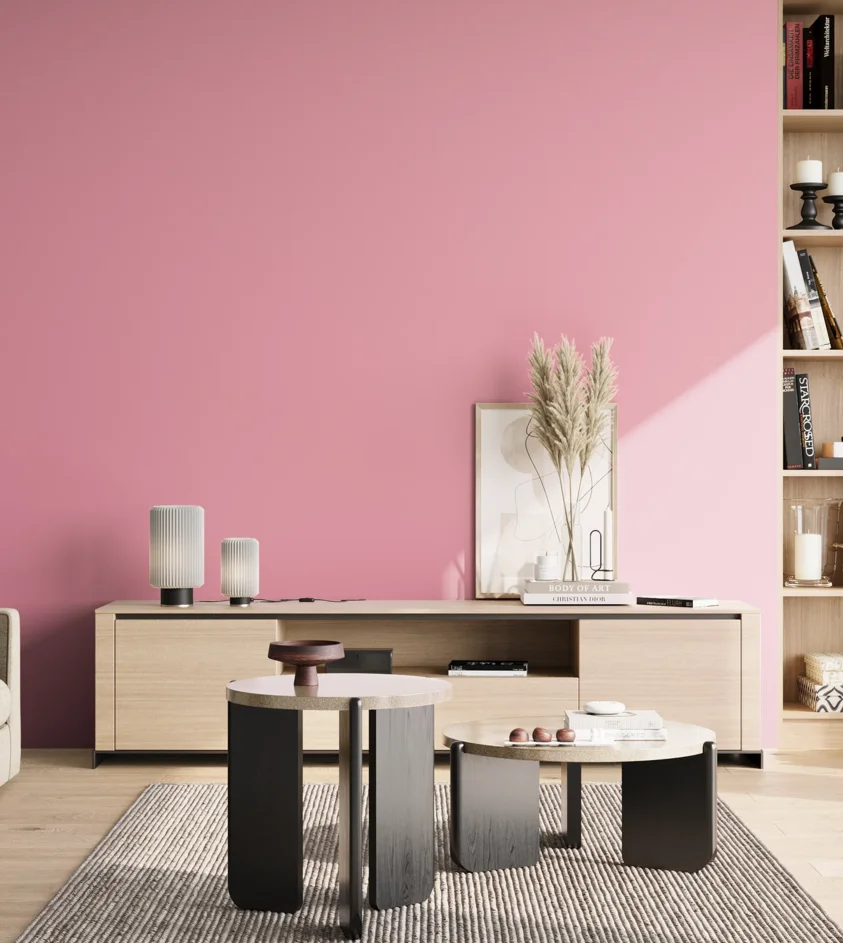 P10_SNIEZKA_salon_02_poludnie_GREY_S0540-R20B