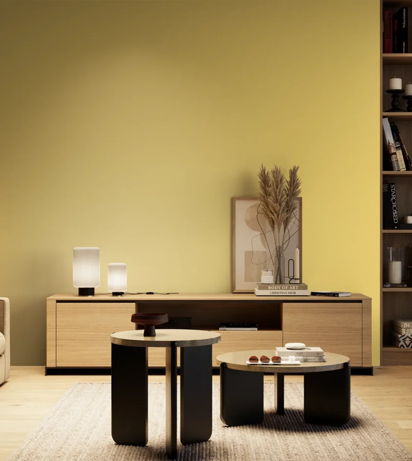 P10_SNIEZKA_salon_04_cieple_GREY_S0540-Y