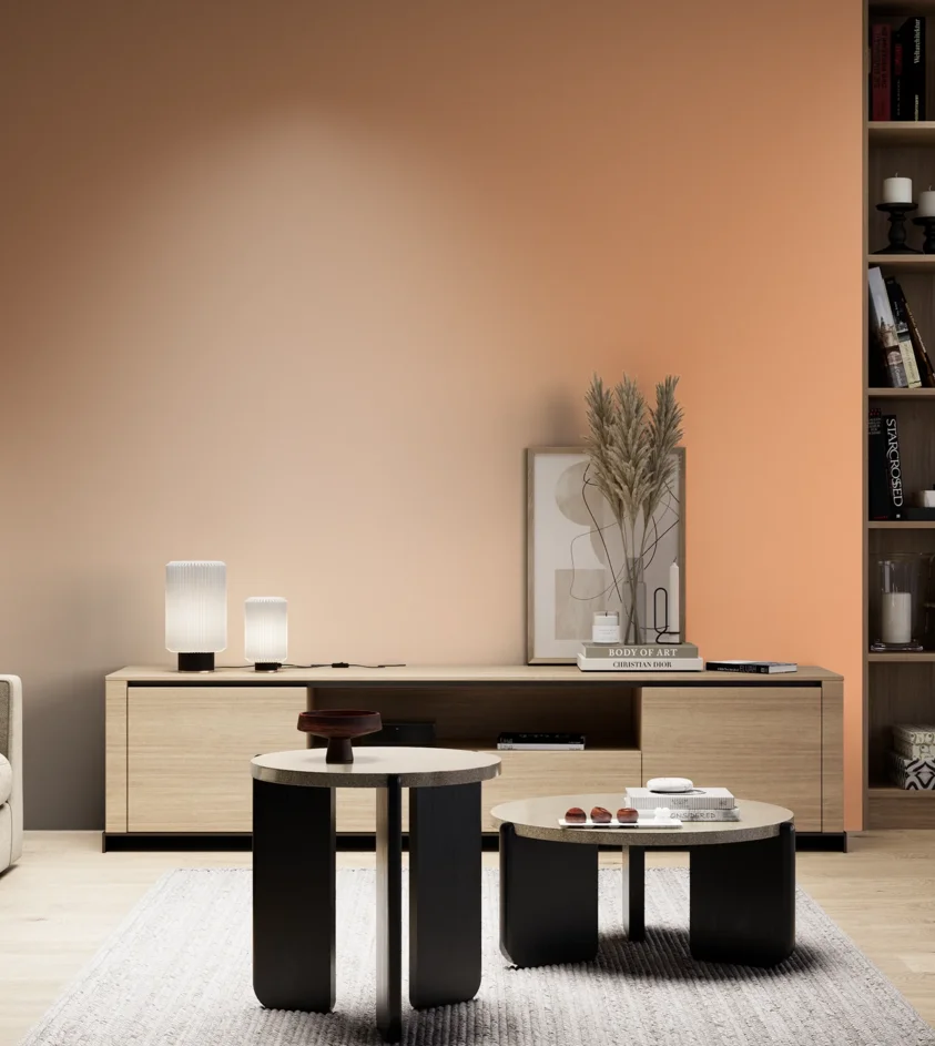 P10_SNIEZKA_salon_05_zimne_GREY_S0540-Y50R