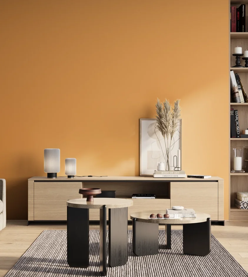 P10_SNIEZKA_salon_01_poranek_GREY_S0550-Y30R