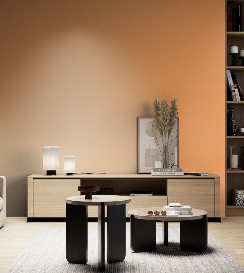 P10_SNIEZKA_salon_05_zimne_GREY_S0550-Y40R