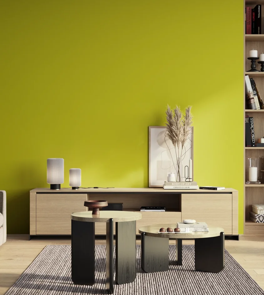 P10_SNIEZKA_salon_01_poranek_GREY_S0575-G70Y