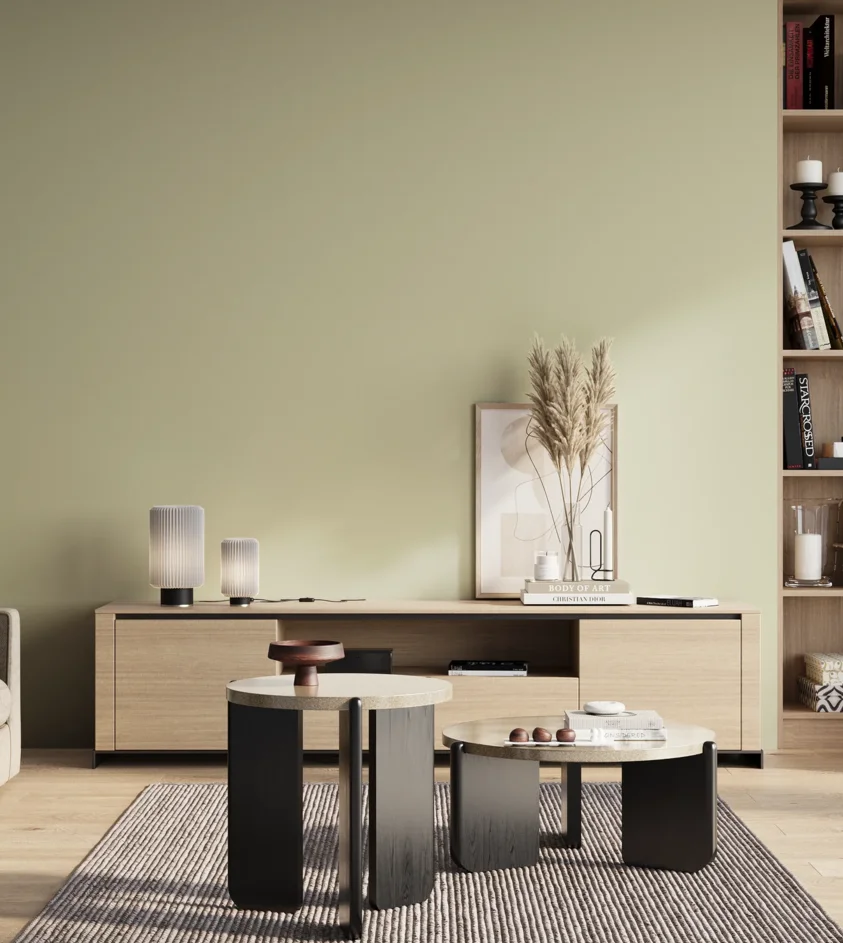 P10_SNIEZKA_salon_01_poranek_GREY_S1010-G70Y