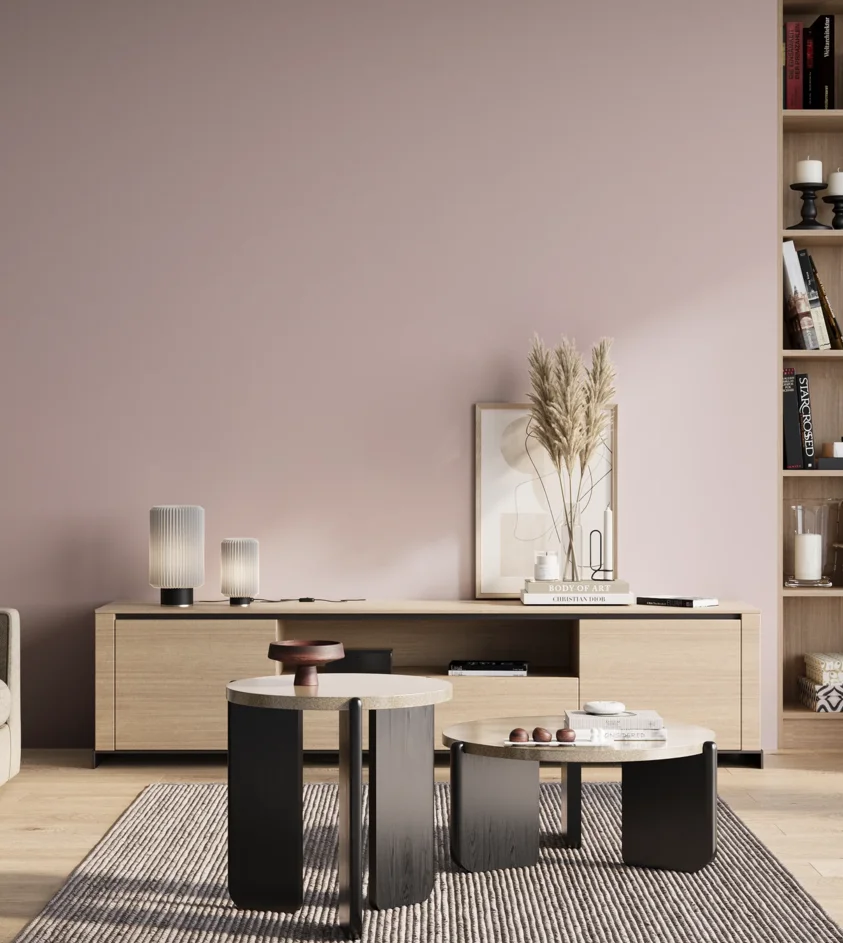 P10_SNIEZKA_salon_01_poranek_GREY_S1010-R20B