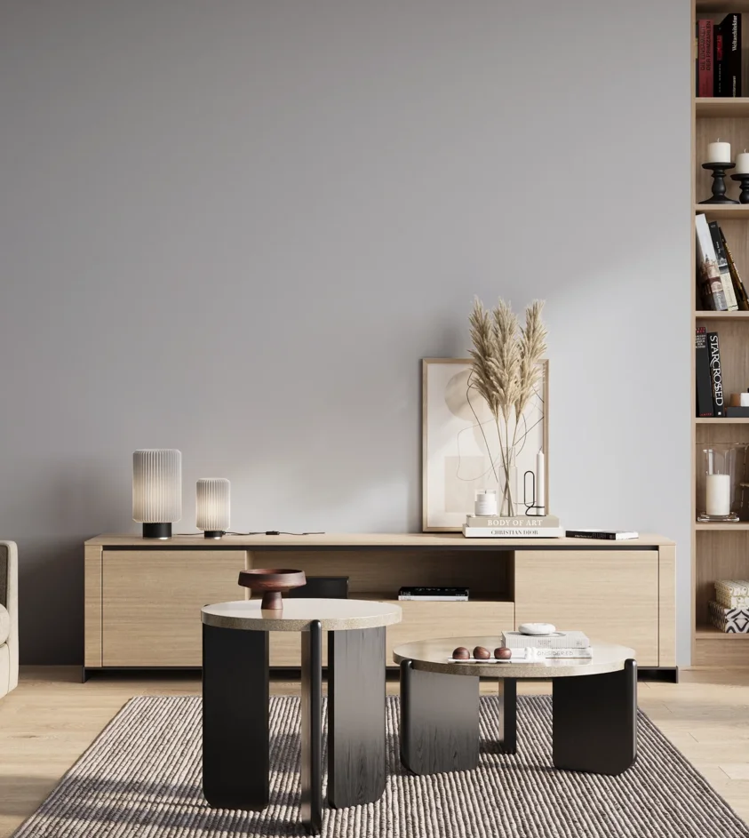 P10_SNIEZKA_salon_01_poranek_GREY_S1010-R70B