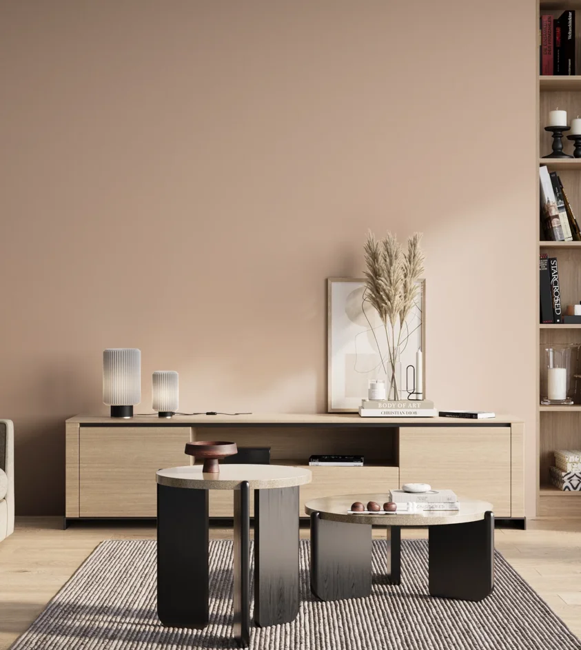 P10_SNIEZKA_salon_01_poranek_GREY_S1010-Y70R