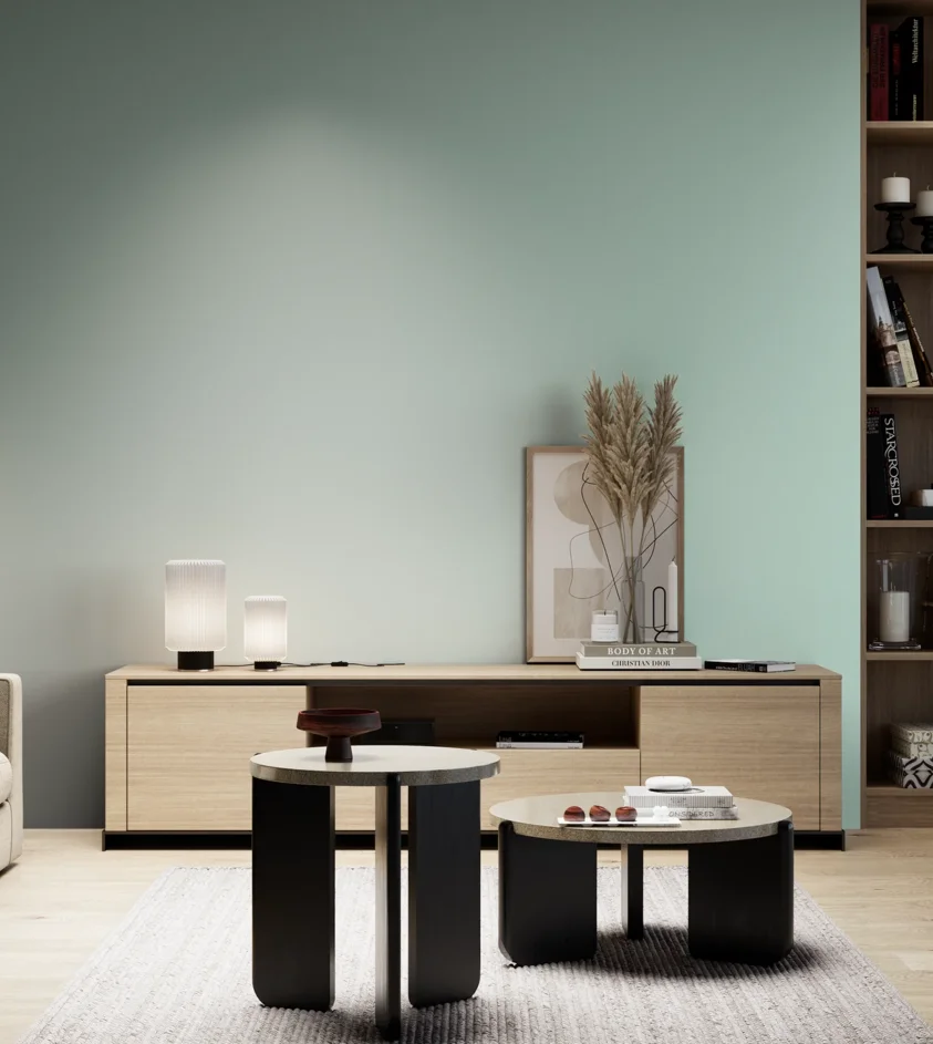 P10_SNIEZKA_salon_05_zimne_GREY_S1015-B80G