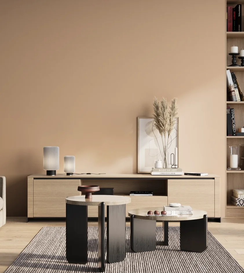 P10_SNIEZKA_salon_01_poranek_GREY_S1015-Y50R