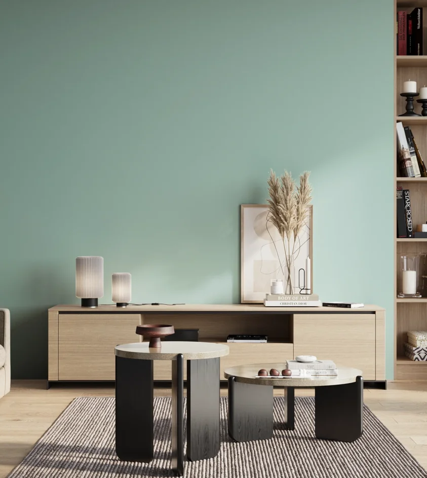 P10_SNIEZKA_salon_01_poranek_GREY_S1020-B60G