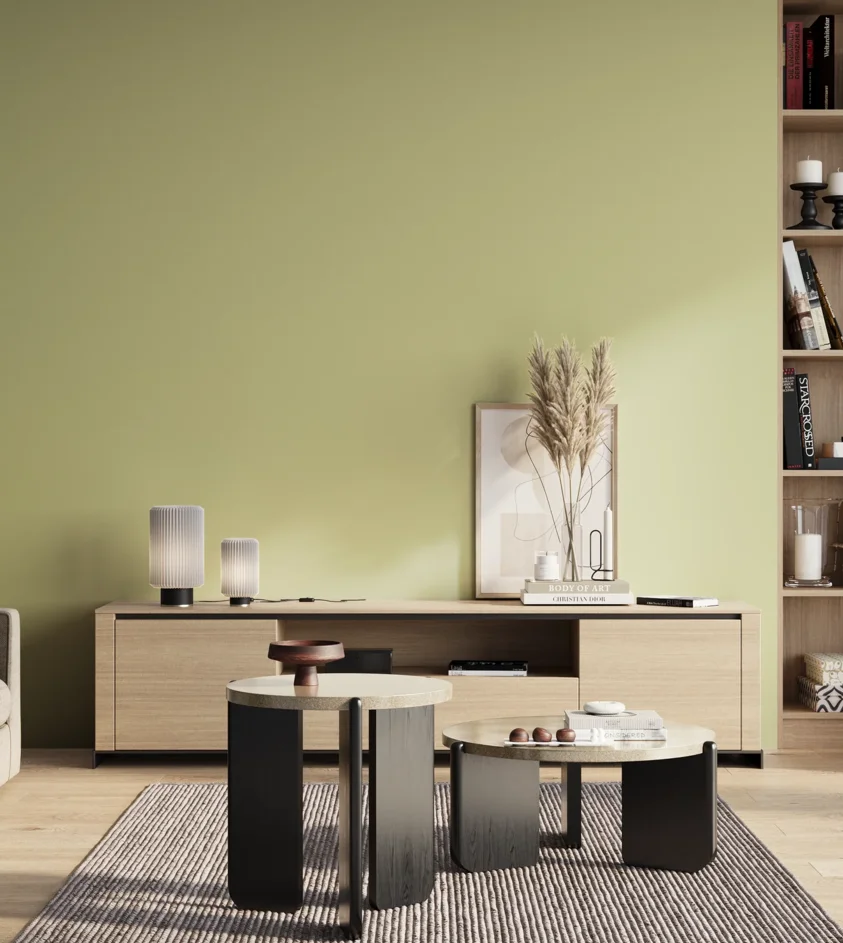 P10_SNIEZKA_salon_01_poranek_GREY_S1020-G70Y