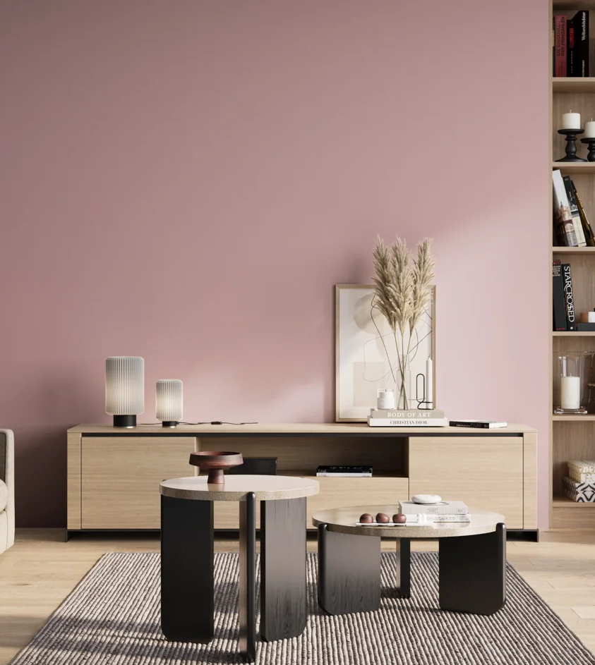 P10_SNIEZKA_salon_01_poranek_GREY_S1020-R20B
