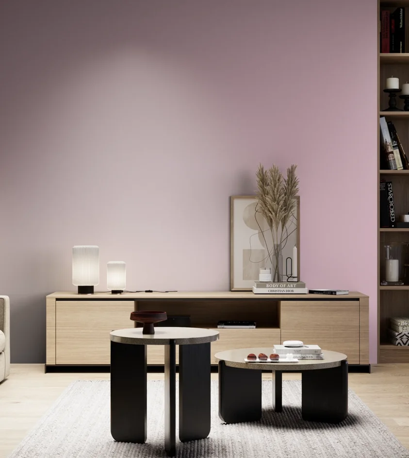 P10_SNIEZKA_salon_05_zimne_GREY_S1020-R30B