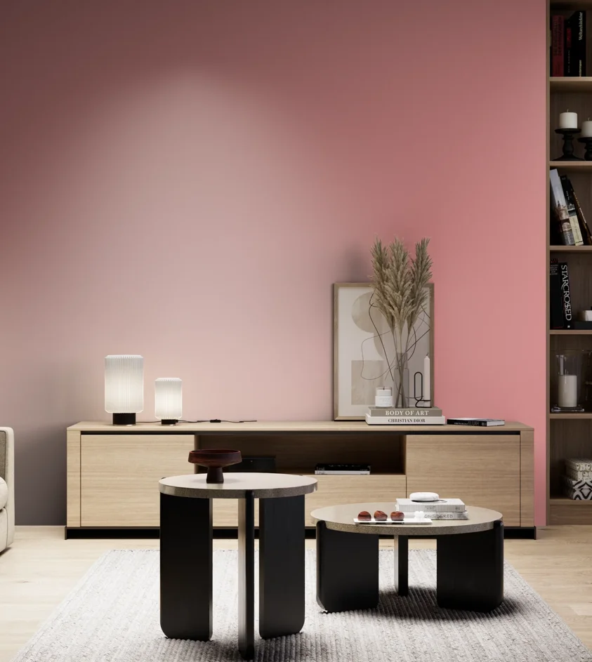 P10_SNIEZKA_salon_05_zimne_GREY_S1040-R