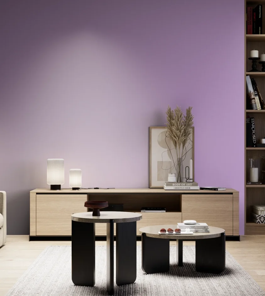 P10_SNIEZKA_salon_05_zimne_GREY_S1040-R50B